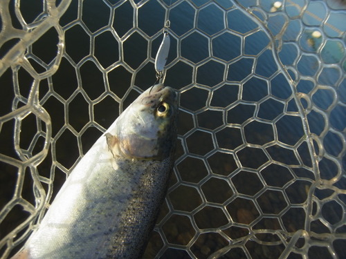 「北方ます釣り場」　平日で空いてましたが　　その１