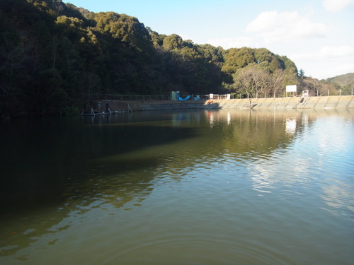 謹賀新年２０１３年＆「岡崎TP」釣り納め