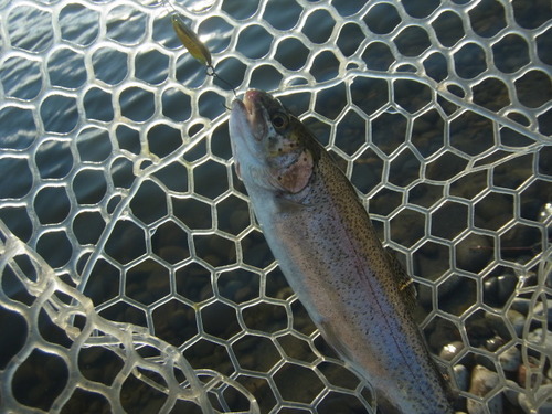 「北方ます釣り場」  玉砕の１日？   その３