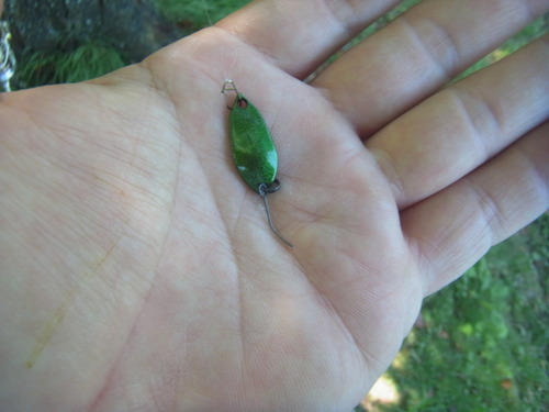 「白馬八方ニレ池」　夏休み釣行　その２