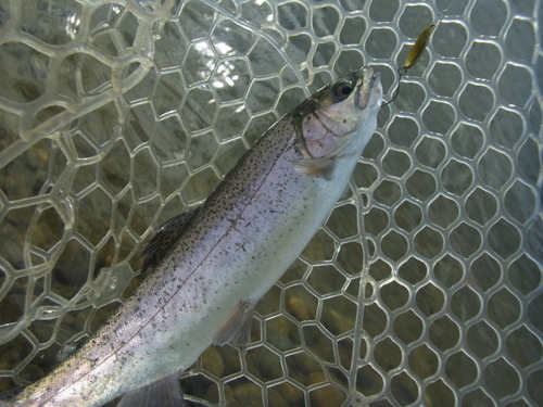 「北方ます釣り場」 怒りのリベンジ戦（笑）  その１