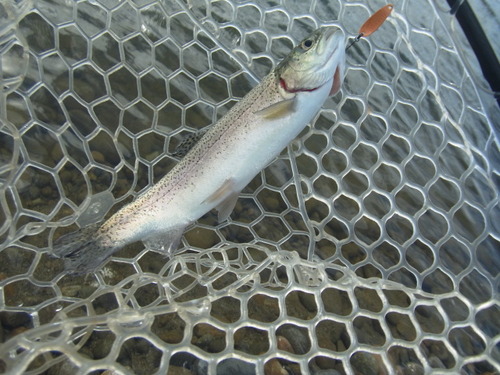 「北方ます釣り場」 怒りのリベンジ戦（笑）  その１