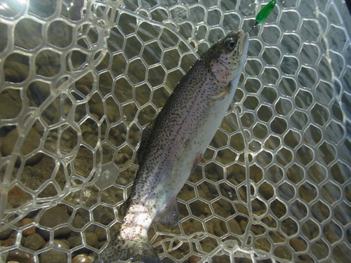 「北方ます釣り場」 怒りのリベンジ戦（笑）  その１