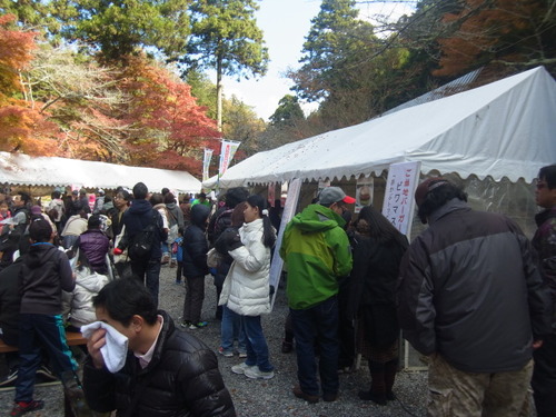 「醒ヶ井養鱒場」  紅葉ます祭り 　  その３