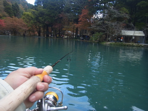 「醒ヶ井養鱒場」  紅葉ます祭り 　  その３