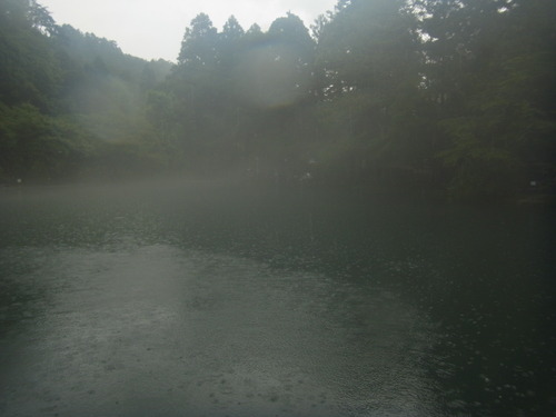 「醒ヶ井養鱒場」琵琶湖の日　