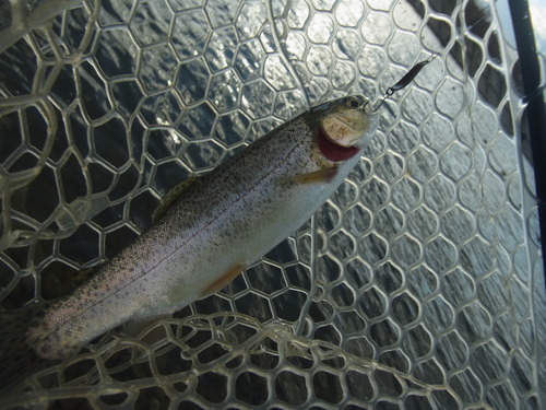「北方ます釣り場」  怒りのリベンジ戦（笑）   その２