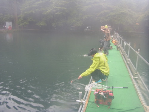 「醒ヶ井養鱒場」琵琶湖の日　