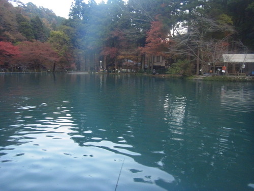 「醒ヶ井養鱒場」  紅葉ます祭り  　 その４