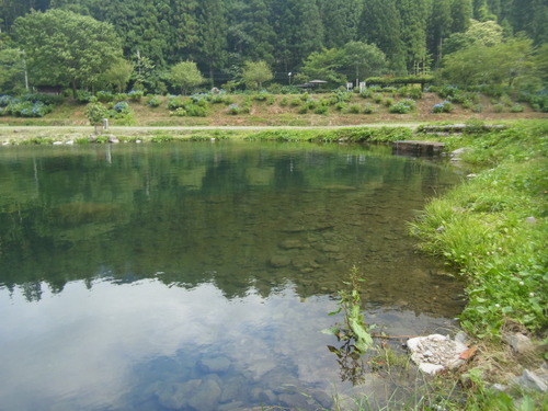魚の里　杉島　初釣行