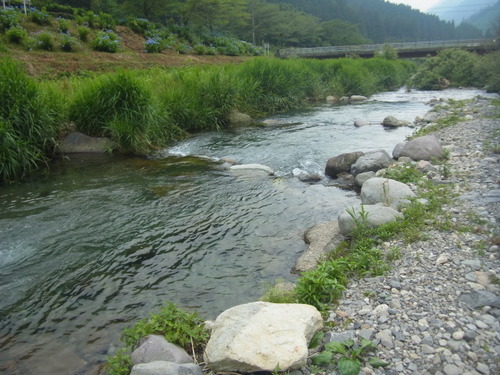 魚の里　杉島　初釣行