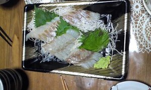そうですか・・・