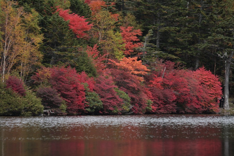 八千穂高原駒出池キャンプ　　　2012.10/5-10/8