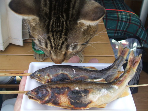 故郷に…