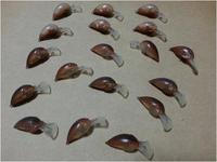 しまごんオープンに備え・・・