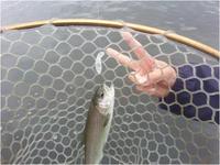 ２０１３　しまごんカップ最終戦！ 2013/04/23 01:25:54