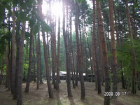 キャンピカ明野ふれあいの里8/16～8/18②