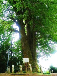 高山不動＆関八州見晴台　パート3