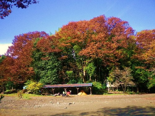 新戸紅葉キャンプ
