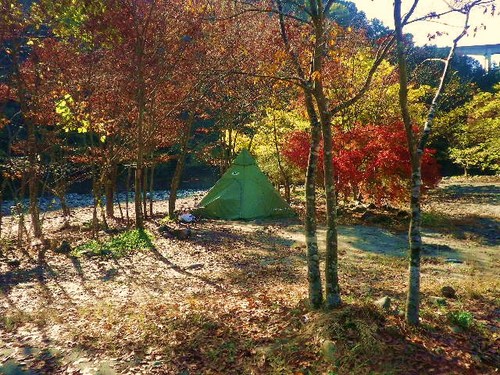 新戸紅葉キャンプ
