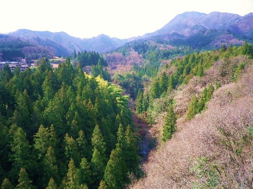 東日本応援キャンプ①