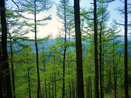 武甲山