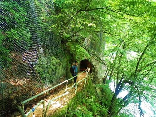川苔山・・・再び