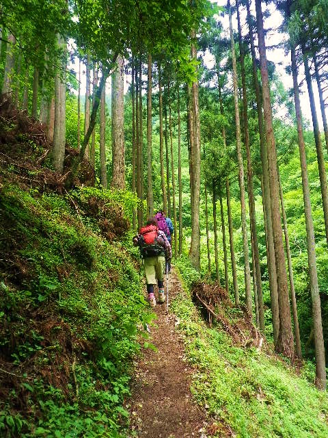 川苔山・・・再び