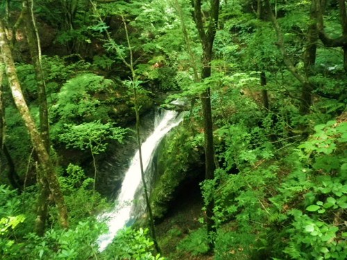 川苔山・・・再び
