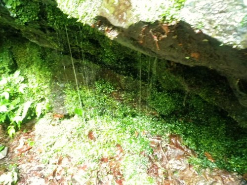 川苔山・・・再び