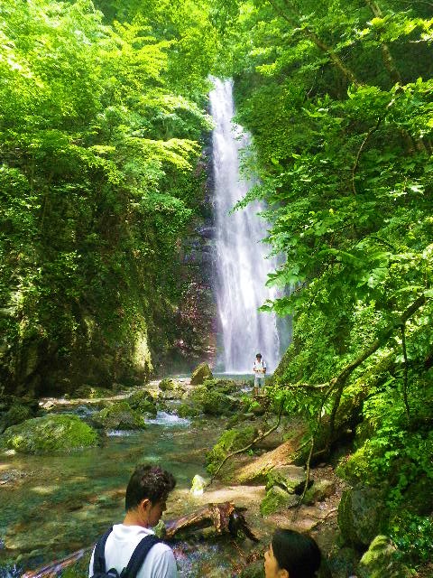 川苔山・・・再び