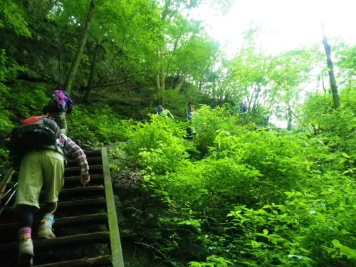 川苔山・・・再び
