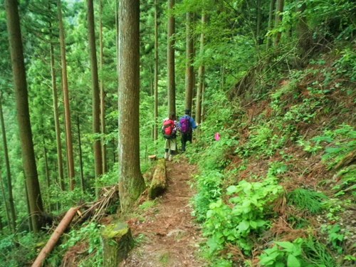 川苔山・・・再び③