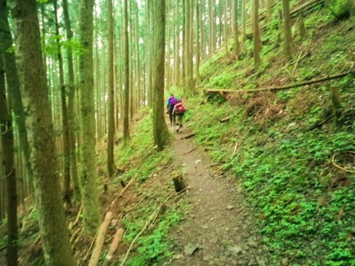 川苔山・・・再び③