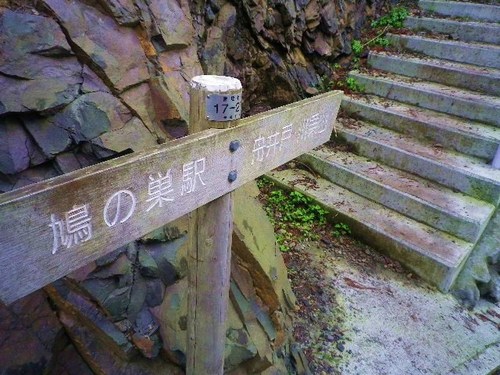 川苔山・・・再び③