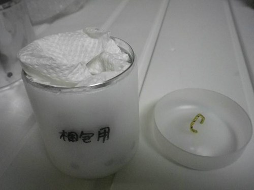 micro hoop stove
