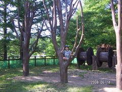 軽井沢スィ－トグラス2008.06.14～15②