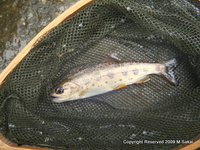 ツ抜け？！ 2009/06/21 15:00:57