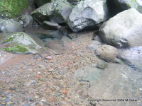 須津渓谷 2009/07/11 21:11:47