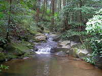 山田川　源流考 2008/08/04 22:54:18