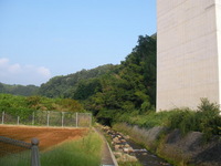 カゲロウの舞 2008/09/07 00:43:57