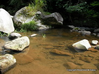 山田川　禁漁期へ 2008/09/28 18:32:24