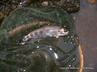 雨だけどセカンドホーム 2009/05/05 18:52:05