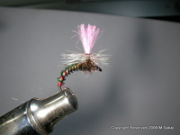 自作フライの初公開ｗ 2009/05/22 23:13:41