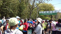 2013/05/05 。中川ハーフマラソン。 2013/05/05 16:30:13