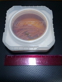 おすすめ商品！ 2013/01/16 22:18:37