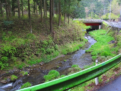 Field又左衛門 荒川水系 成木川