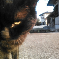 知らなかった事