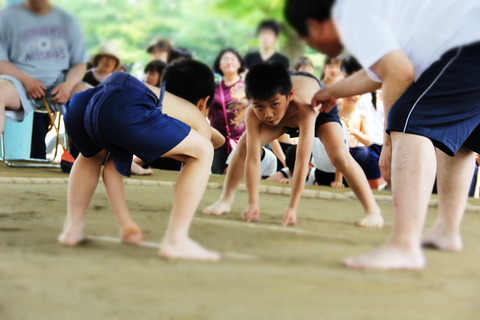 ちびっこ相撲大会