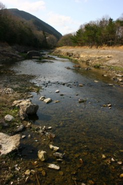 ちいさな森キャンプ村　場内散策♪